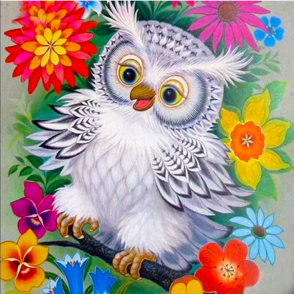 🌺🦉DIY 5D Embroidery Poster❗️❗️🦉🌺